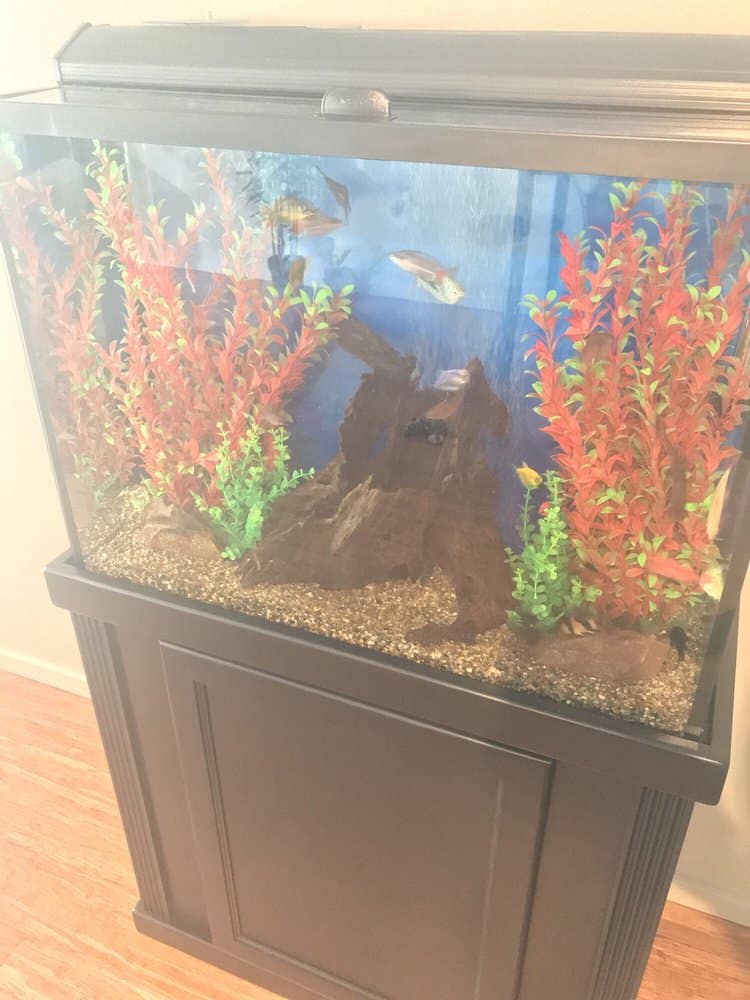 How To Move a Custom Aquarium Without Taking a Bath Aquatech Aquarium