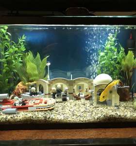 aquarium cleaning service
