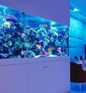 aquarium maintenance services