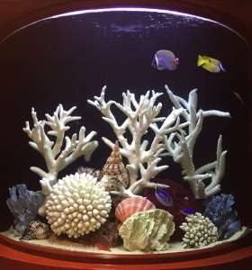 aquarium services