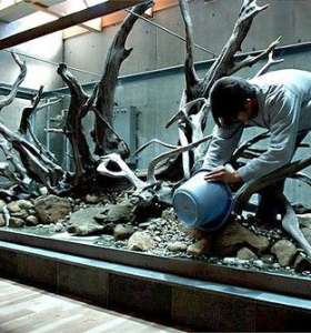 fish tank cleaner service