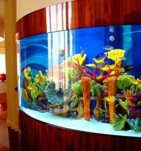 fish tank cleaning service