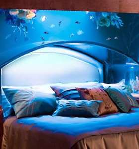 fish tank service