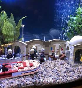 in home aquarium services